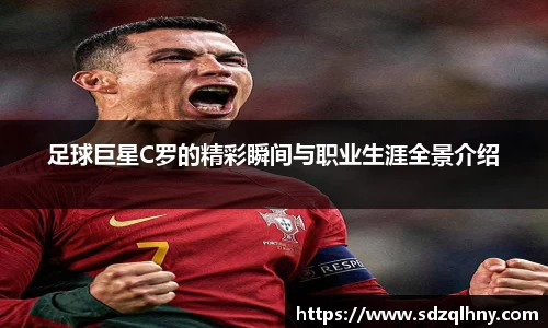 九游体育登录入口